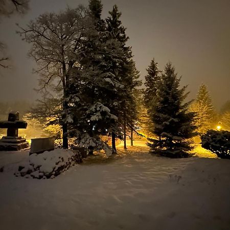 Chalupa U Krize Harrachov Exteriör bild