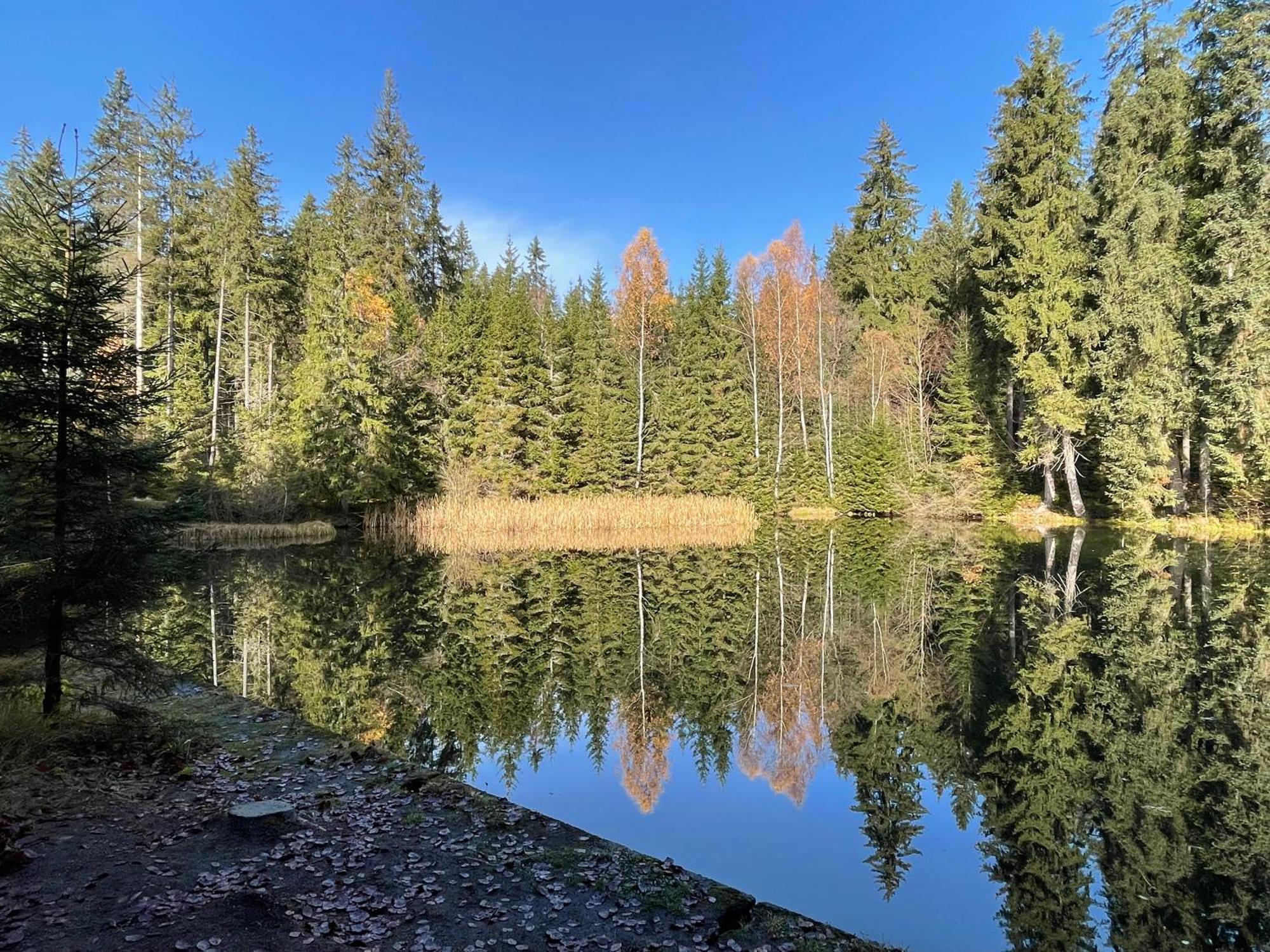 Chalupa U Krize Harrachov Exteriör bild