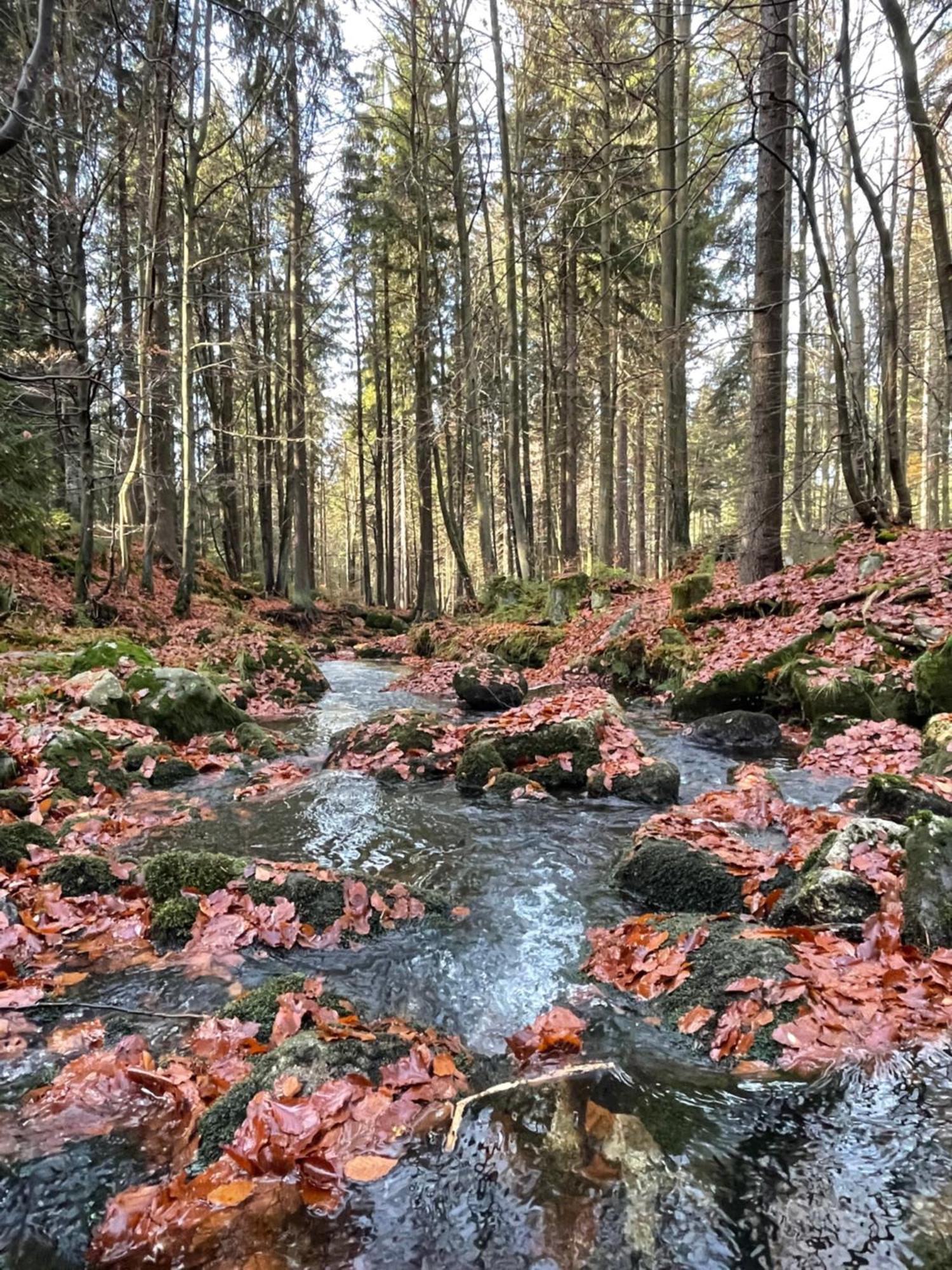 Chalupa U Krize Harrachov Exteriör bild